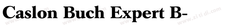 Caslon Buch Expert B字体转换